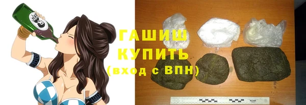 дмт Гусев